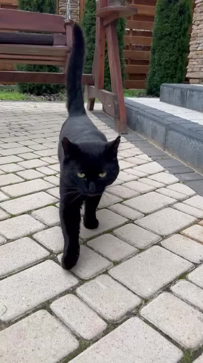 ������� ����������: ������ - �������� ��� � �����