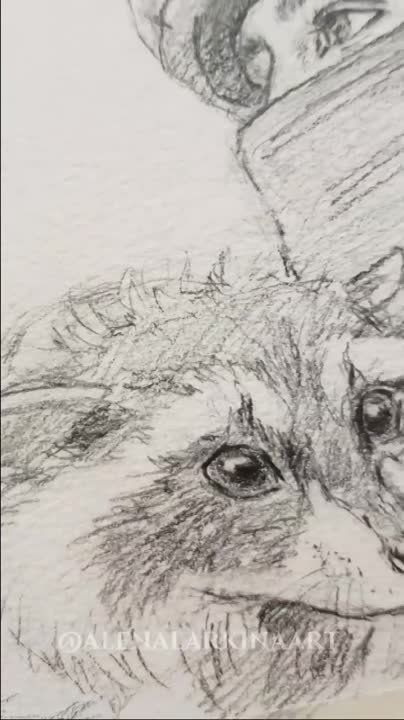 ����� ������ ��������� ���� �����������