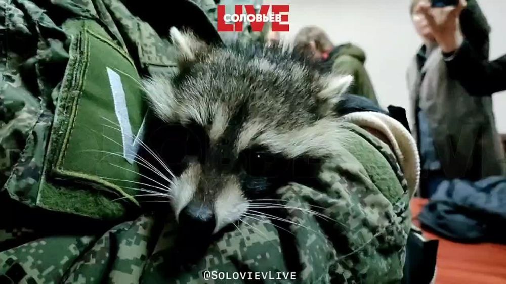 ���������� ���������� ���� ���������� � ���� ����� ���������� ������� ���������� ������