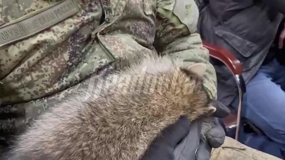 ��������! ���� �� ������� ������ ������ ���������� � ������ � "������" ������� �������