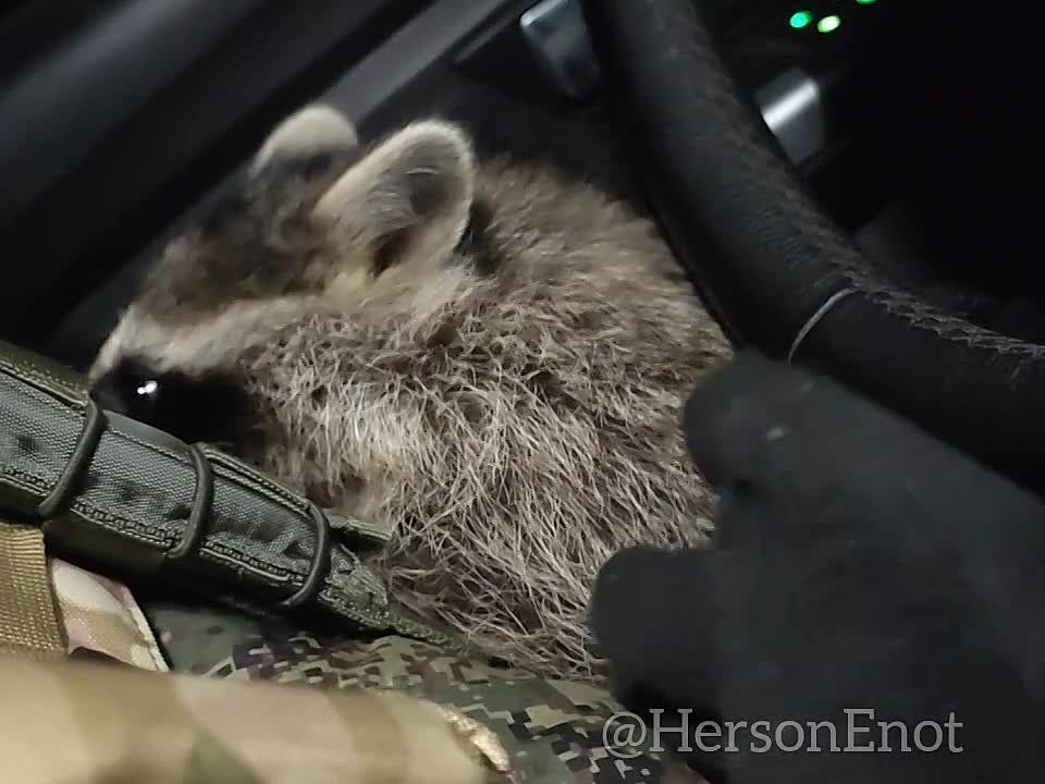 ���� �� �������: ������ �����! �������?. ������� � ��� ����� �����. �������� ������ ������ � �������