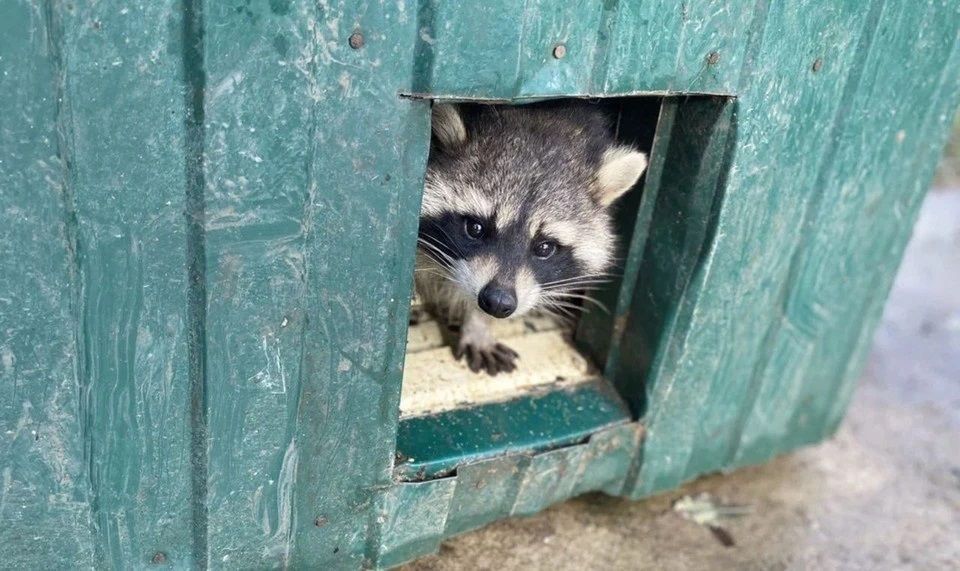 ��� ���� ��������� � ����� ��������, �������������� �� �������?