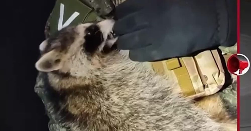 ���������� �������, ������� ����� �� ������� @HersonEnot, �������� �������������� ���������� ��� ������ ������ ����������� ������ ��-��-��: