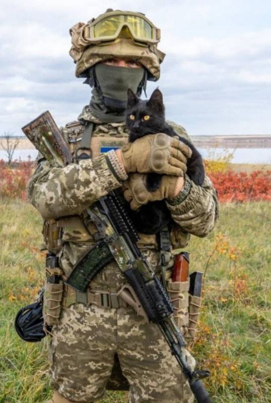 � ���������� ������� ������������ ������ ���������� ���������� �������� ������