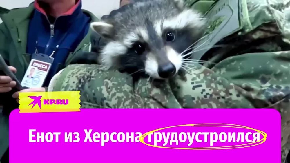 ���� �� ������� ����� ���� ������! ���������� ������� �������� ������ �������� ����� �������� �� ����������� � �������� ��� ������ ������: ������� � ��� ��������!