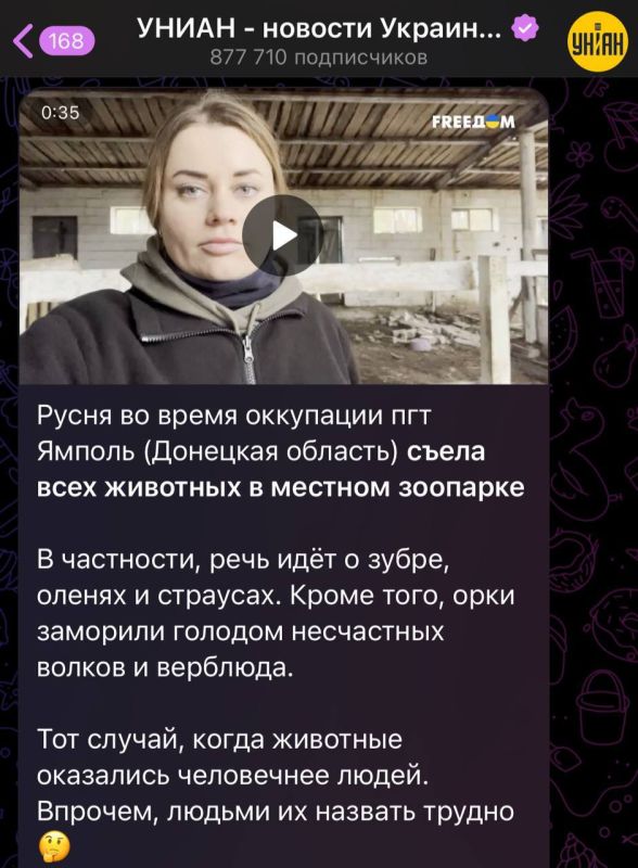 ����� ����� ���� �������� � ������� ��������