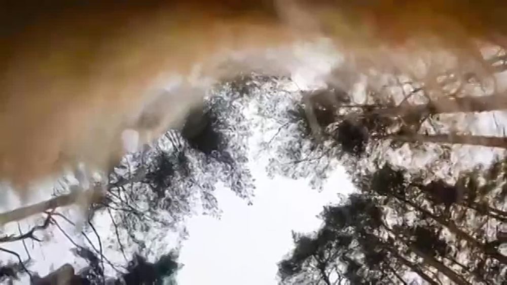 ���������� ������ ����� � ���-�������