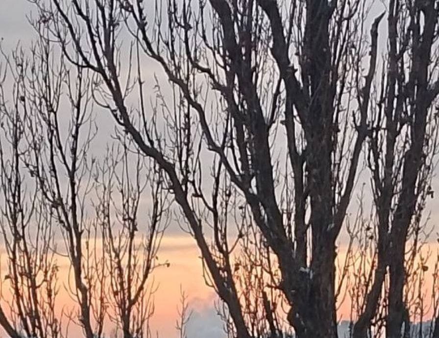 � ����� ��������� �����. ����� ����� �������� ���