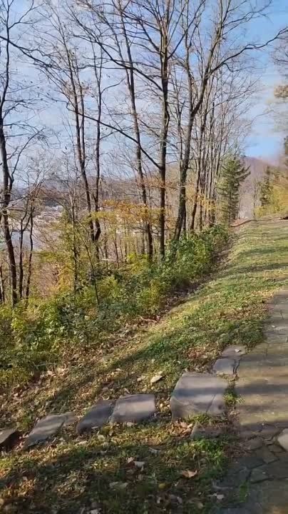 ��������� ������� ��������� ������ �� ������