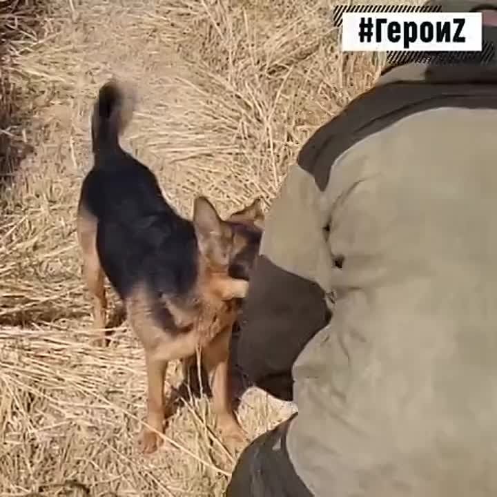 ������� � ��� ��� ��������� �����! ���� � �������� ����� ������ �� ��������� � ������������ ������ � ���� ��������