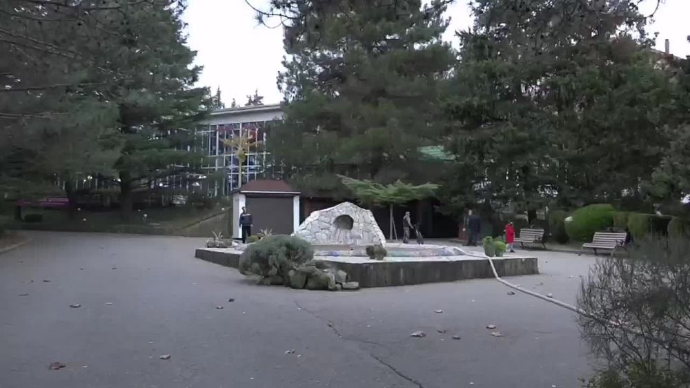 � ������ ���������� ���������� ������� ���������� ������� � ����������� ������ �������� �������������-���������������� �����