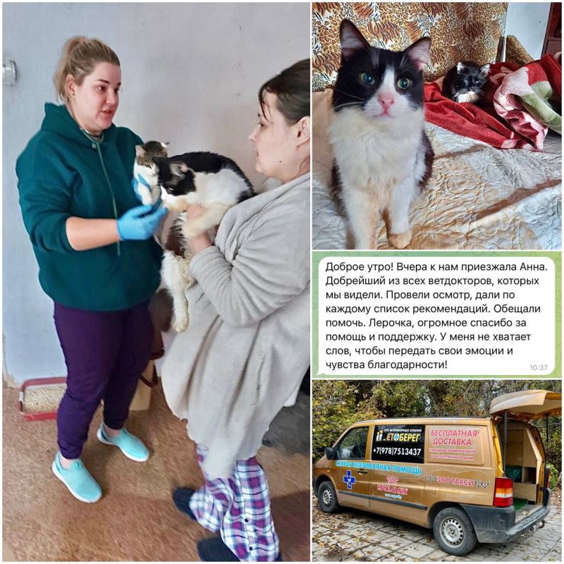 ������� ����������: ������� - �������. ���������� ��������� ������ �������� � ������, ���������� �� �������