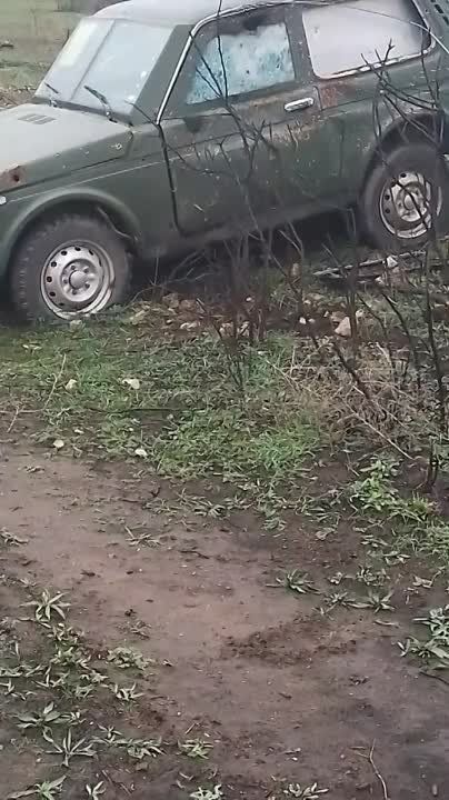 ������������ � �������� ������� ��� - ��������� ��������