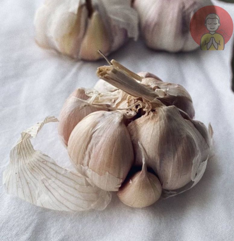 ������ ����������� ������������ �������