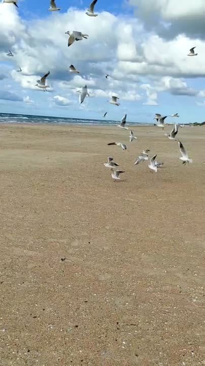 �������������� ��������� ���������� ������� �������� � ���, ��� ��� ����� � �����