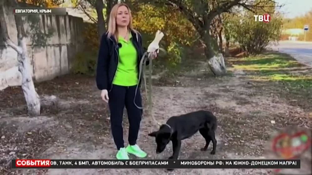 �������� � ��������� ������ �� ���������� ������� � ����������� �������!