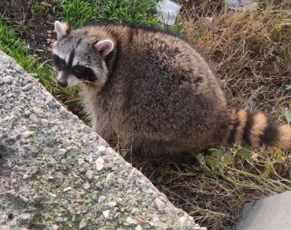 ���� �� �������: �� ���! �������� � �������� �� ����� ������ ������!