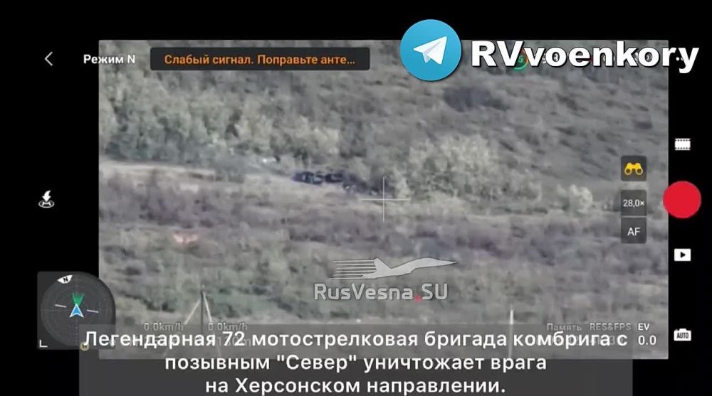 ����� �������� � �������� ������ �� 72 ������� ��������� ���������� ������� � �������� ��� �� ���������� ������