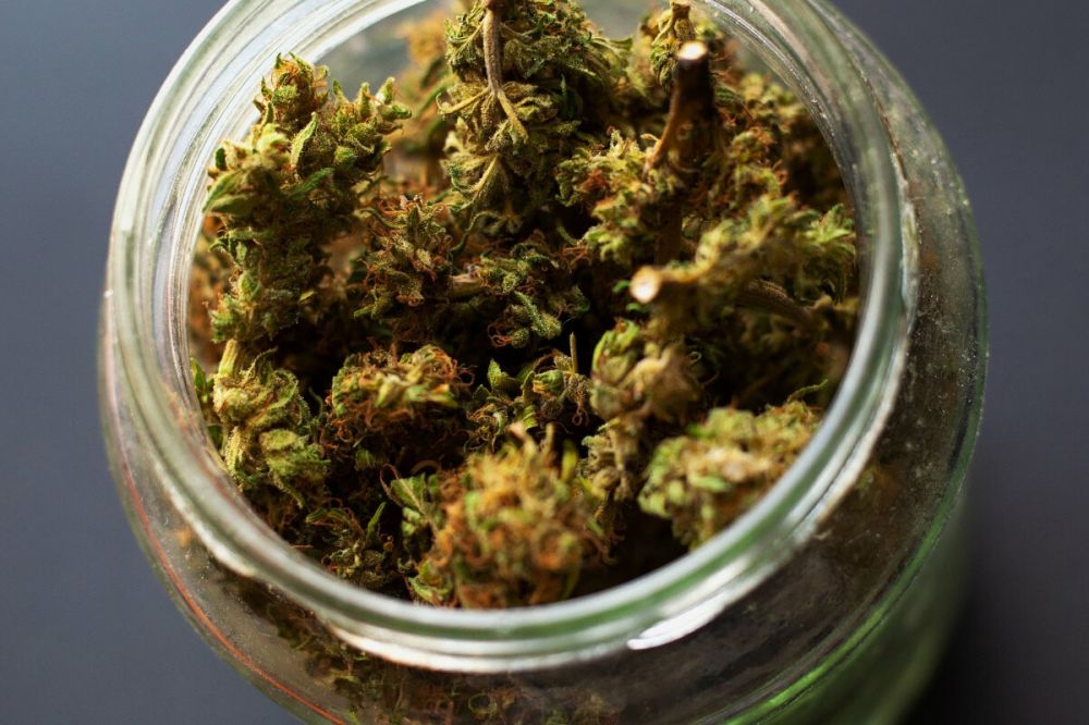 � ��������� � ���������� �������� ������ ����������� ����� ���������