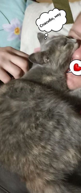 � ����������� ���� ���� ���� ���������!