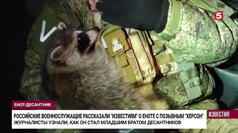 ���������� ����������, ���������� ���������� ����� �� ����������� ��������, ������������ ���� �������