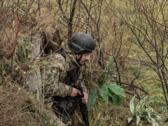 �������� ������� ������� ������� ������ ��� ��� ��������