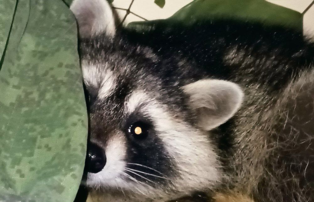 ���� �� �������: ������, �����! ������ ����� ����� ���������� ��������, � ������ ���� �������������!