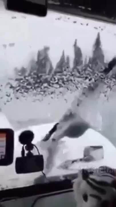 � ��� ��� ������� ������ ������ �������� ����������� ����