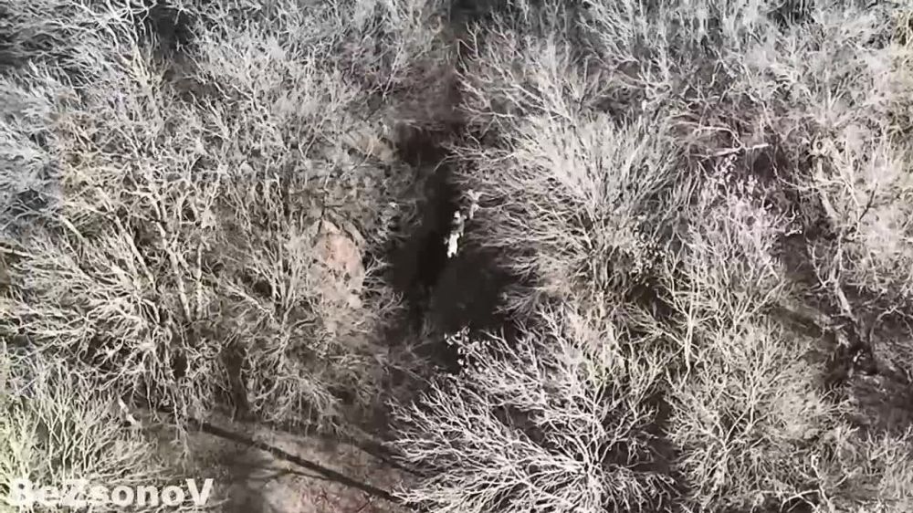 �������� ������������� ���� "����������" (������ ����� �� ����� ��������� �������), � ����� �������� ����� ����, ������� ��� ������