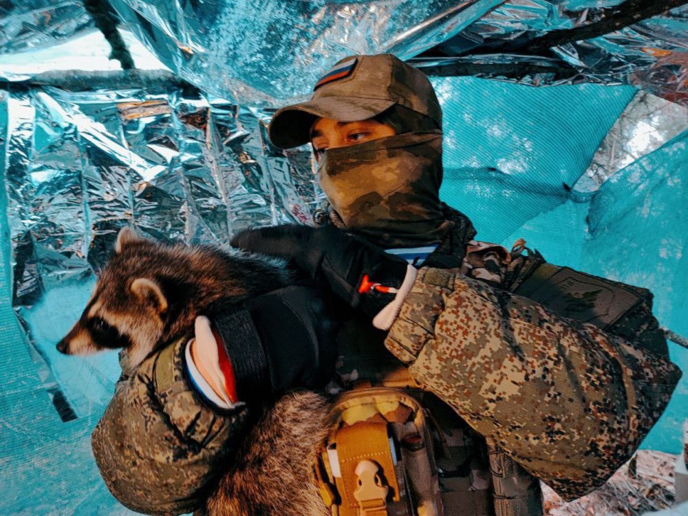 ������������ �������� ����� �� �������