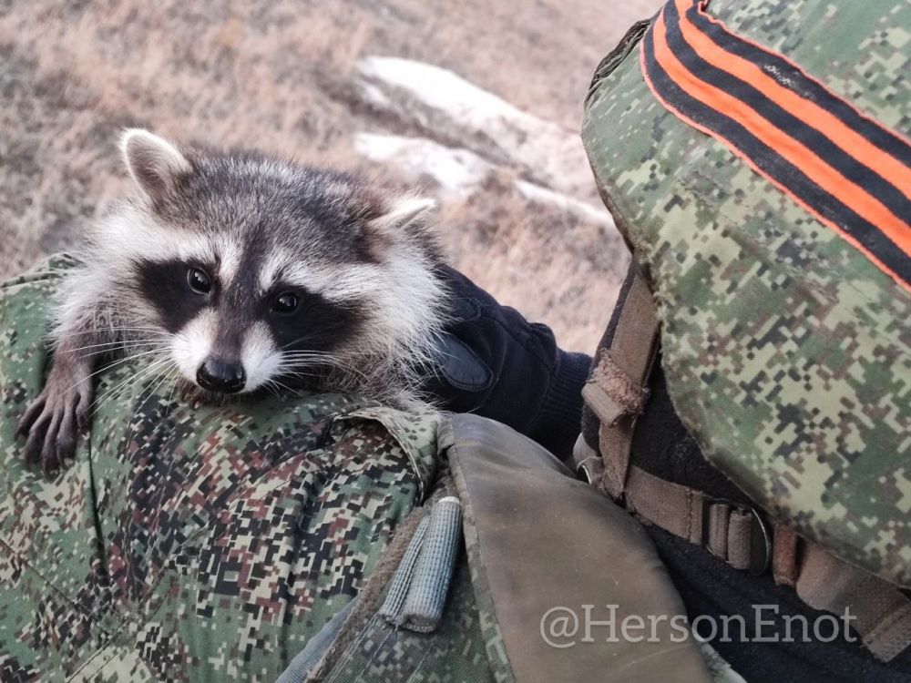 ���� �� �������: ��� �������� ����� �������������, ������� ��������!