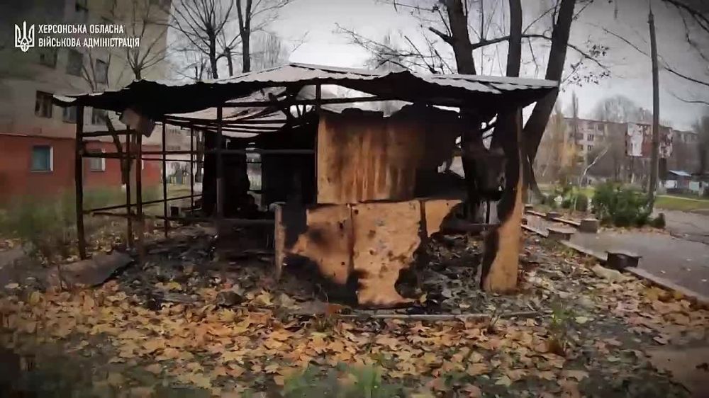 ������ ��������� ���� ����� �������� ������� ������� ������� ����������� ������ � ������