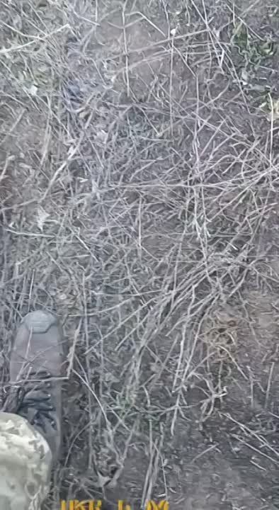 ��������� ��������� ������ �� ����� (������ � ������), ��� ������ ��, ����� ������� ����� ������ ��� �������!