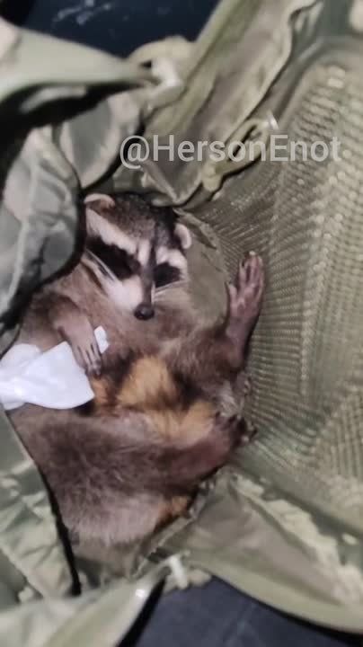 ���� �� �������: ��� ���������� �������������� � �������� ���������, �� ��� ����� ��������! ������ ��� ������ ������ ����