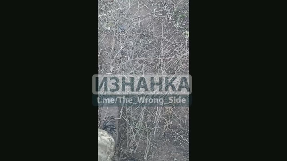 ���������� �������������� �������� ��������� ��������� � ���������� � ��������� �� �������