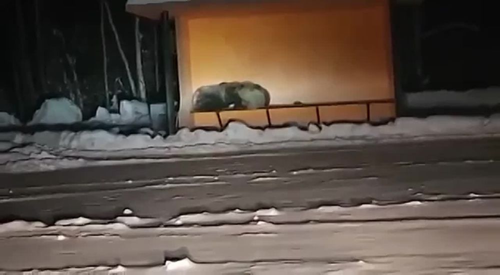 �������� ����� ����� �� ���������, � ���.