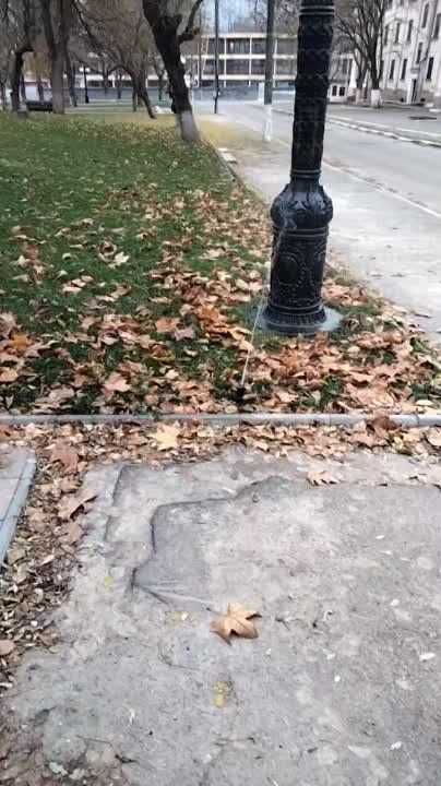 ������ �������, � ��� ������� ������������� � ������� �� ������ ��������� ������