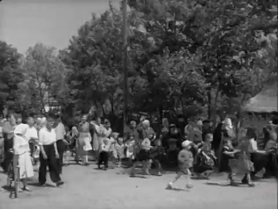 ������� � ����! ������� ����������