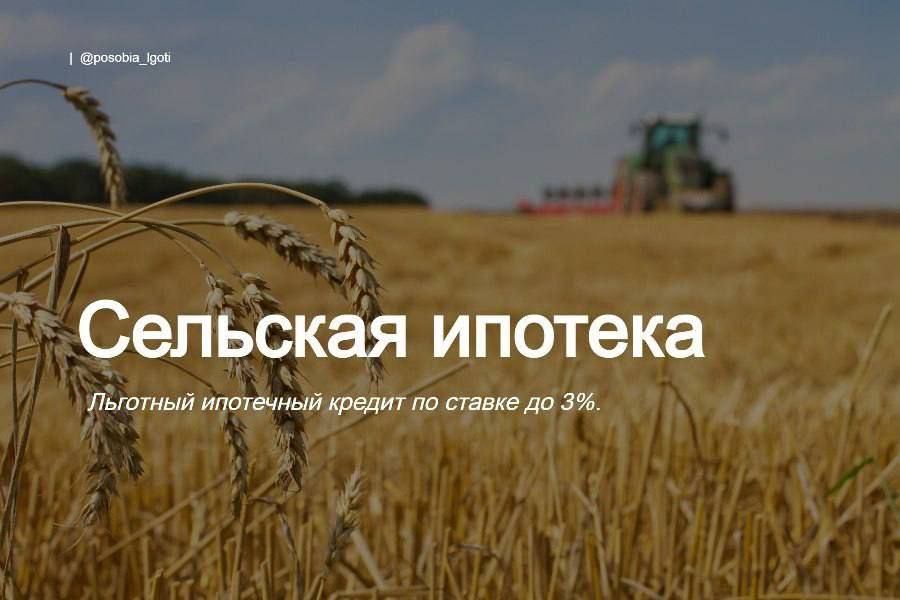 �������� ������� �������� ��������� ������ �� ������ �� 3%