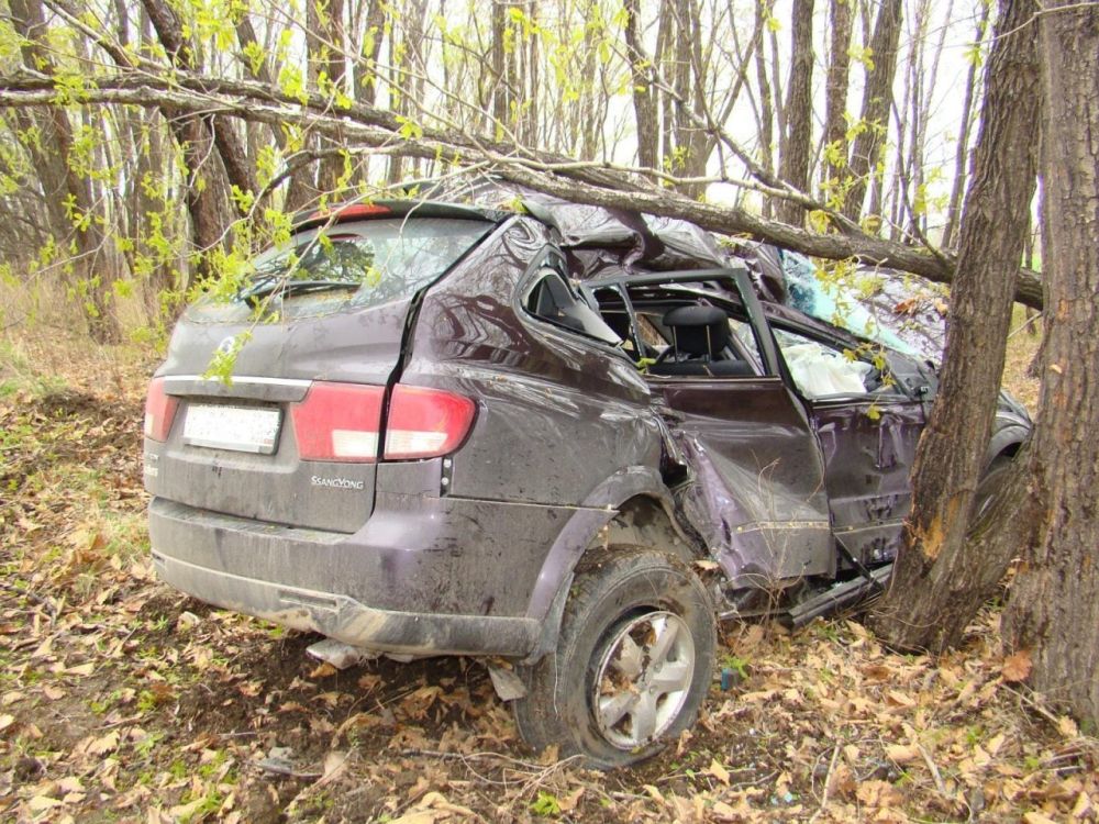 � ���������� ������������� ������ ��������� ��� �� ����������� �������