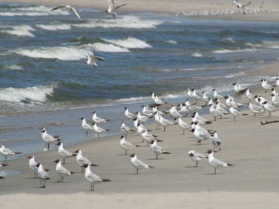 � ������������ ����� ������� ����� � ����� ��������� ������� � ������� ������������