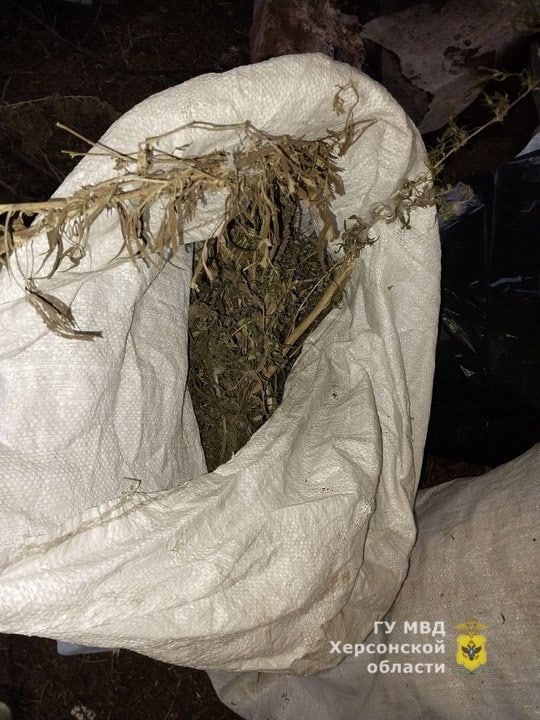 � ������� �. ������ ����������� ������ 20 ����������� �������