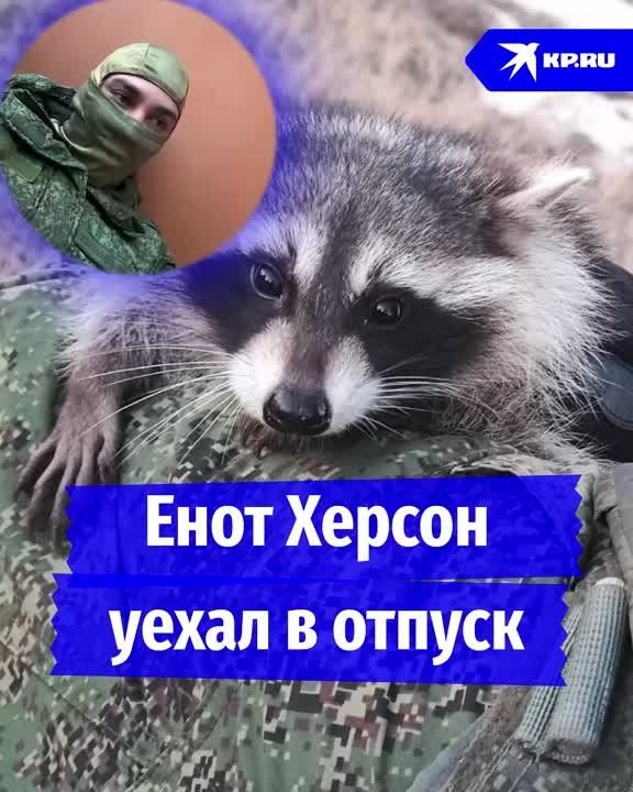 ����������� ������ ����� �������