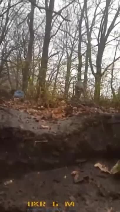 ������������� �������� ���� ������ �� ����� ������, �� �����������, ���� ���� �� ���