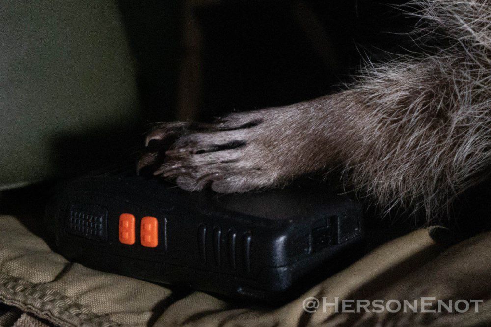 ���� �� �������: ������!!! �� ����� ���������� - ���� ����� ��������� ���������� ��������� ��� ���� � ���� ��������� ������?