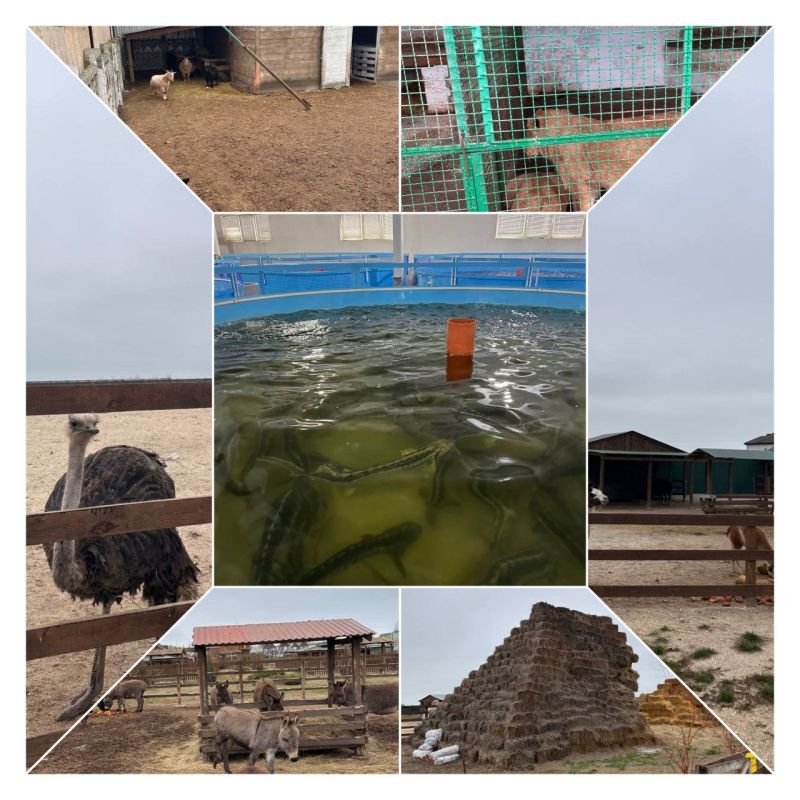 ������� ������������� ������ �������� ���������� ������������� ���� ��������� �������� ������� ���������� �������� � ������� �������� �������-���� � ���������� ��������� � �. ������������