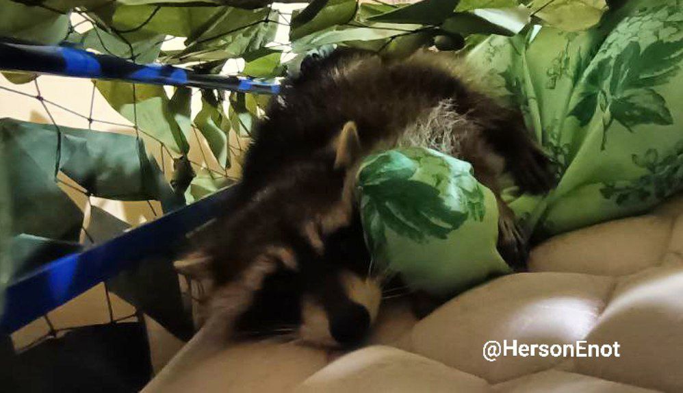 ���� �� �������: ������! ������� ������ �� ���� ������� �������� ���� ����������!