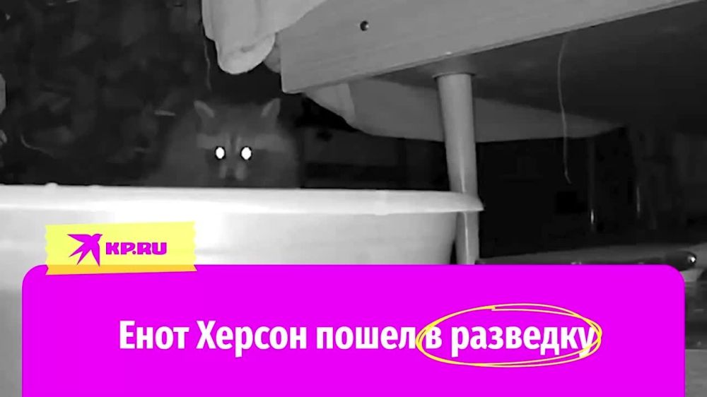 ���� ������ ����� � ��������