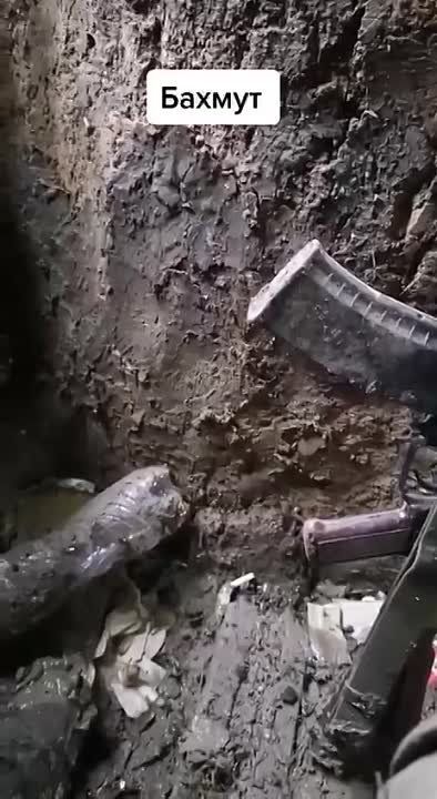 � ������ ��� ��� �������� ����� ������ ����������