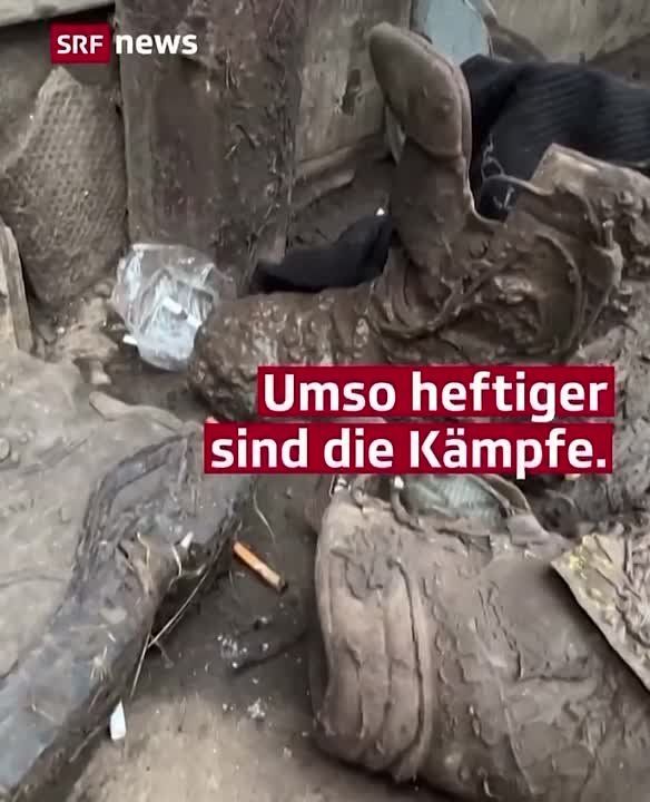 ��� ������ ���������� ������������ � �������� ������� ��� � ���������: ��� � ����������� ��������� SRF News ������� � ������� ���������� �������� � ���������� ���